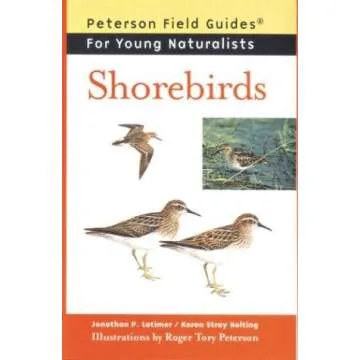 Shorebirds Guide for Young Naturists - Fun & Informative