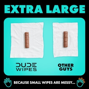 DUDE Wipes - Mint Chill Flushable Wipes - 144 Count