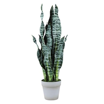 Lifelike 26" Artificial Snake Plant for Home & Office