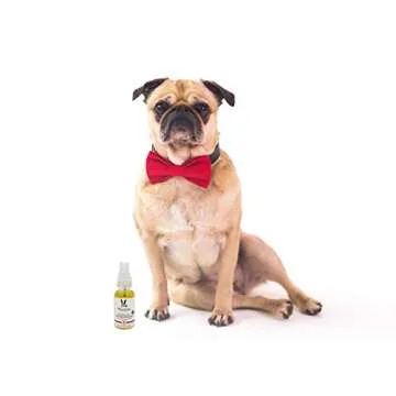 Warren London Nose & Paw Pad Moisturizer for Dogs - Grapeseed Oil & Essential Oil Blend - Instant Relief Revitalizing & Moisturizing Spray for Softer Dog Paws - Made in USA - 1oz