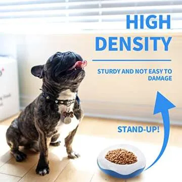 ALL FOR PAWS Chill Out Bowl - Keeps Water Fresh for Pets