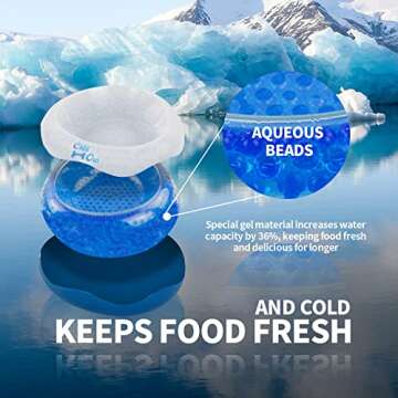 ALL FOR PAWS Chill Out Bowl - Keeps Water Fresh for Pets