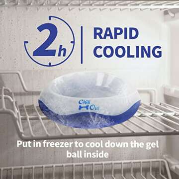 ALL FOR PAWS Chill Out Bowl - Keeps Water Fresh for Pets