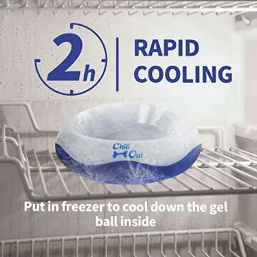 ALL FOR PAWS Chill Out Bowl - Keeps Water Fresh for Pets