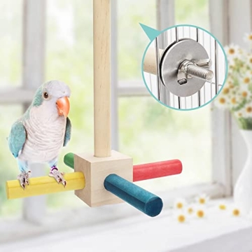PETNANNY 5pcs Bird Parrot Toys for Small Birds