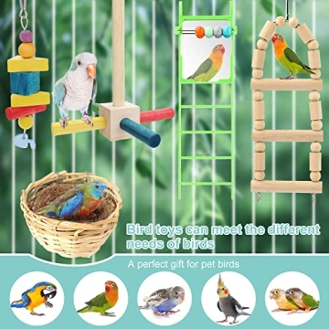 PETNANNY 5pcs Bird Parrot Toys for Small Birds