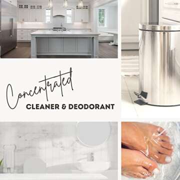 Hexol Deoderant Concentrated General Household Cleaner and Deodorant, 16 Fl. Oz, 6 Bottles, 96 Fl Oz