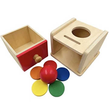 Dailyfunn Montessori Coin & Ball Drop Box for Young Learners