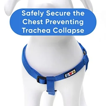 Pawtitas Reflective Step-in Dog Harness - Adjustable & Durable