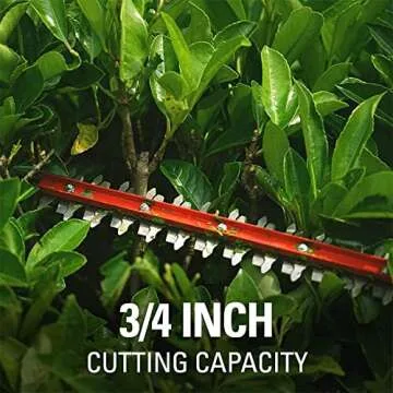 Best Greenworks 24V Cordless Hedge Trimmer for Garden Care