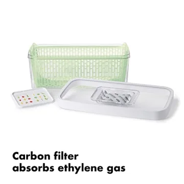 Keep Produce Fresh Longer with OXO GreenSaver