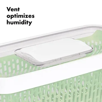 Keep Produce Fresh Longer with OXO GreenSaver