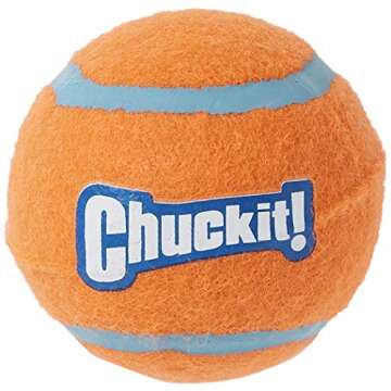 Chuckit! Dog Tennis Ball Dog Toy, Medium (2.5 Inch Diameter) for dogs 20-60 lbs, Pack of 4