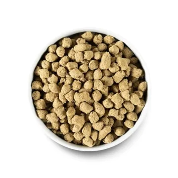 Open Farm Freeze Dried Raw Dog Food with Humanely Raised Pork