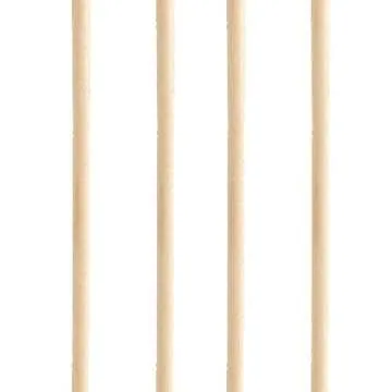 12 Bamboo Dowel Rods for Cakes and Crafts