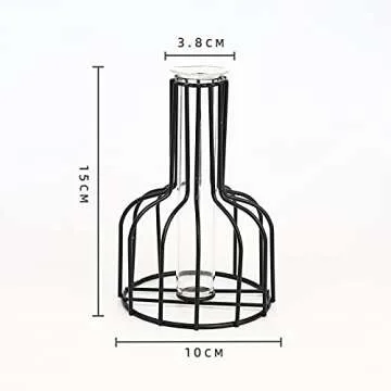 Flower Vases with Iron Art Frame, Metal Geometric Flower Vase, Clear Vase Decorative for Home Office Wedding Holiday Party Celebrate (Black(1PC))