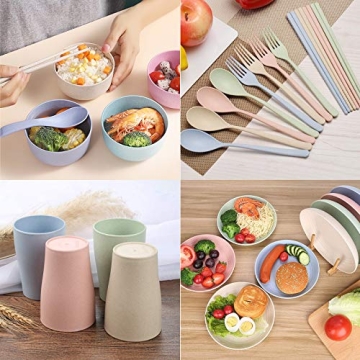 DeeCoo Wheat Straw Dinnerware Set for All Ages