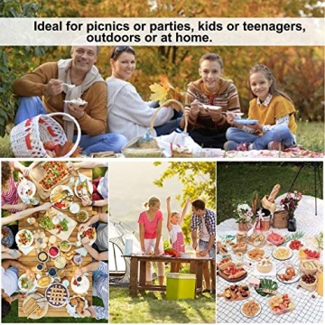 DeeCoo Wheat Straw Dinnerware Set for All Ages