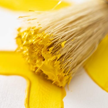 READY 2 LEARN Triangle Grip Paint Brushes for Toddlers