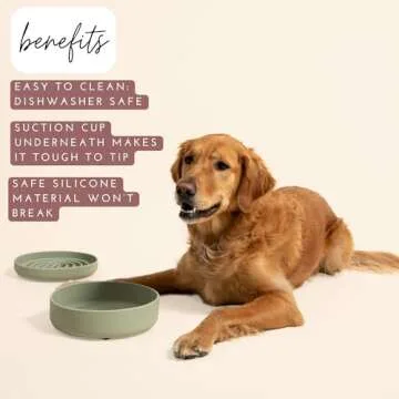 Should We Go? The Perfect Dish - No Spill Silicone Dog Bowl with Suction Cup