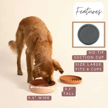 Durable No Spill Dog Bowl - Versatile Silicone Pet Dish