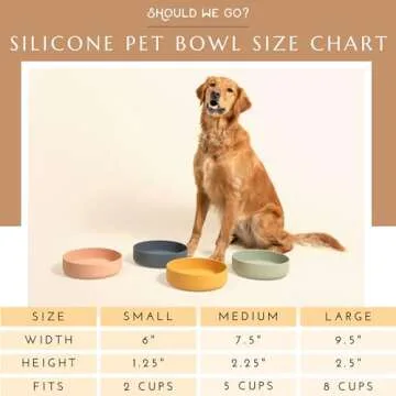 Durable No Spill Dog Bowl - Versatile Silicone Pet Dish