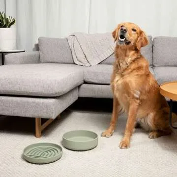 Durable No Spill Dog Bowl - Versatile Silicone Pet Dish