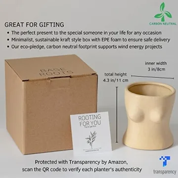 Stylish BASE ROOTS Home Decor Plant Pot for Indoor Plants