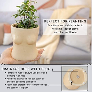Stylish BASE ROOTS Home Decor Plant Pot for Indoor Plants
