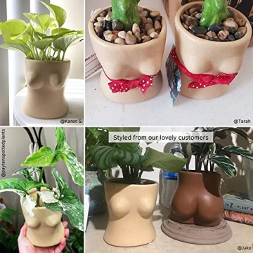 Stylish BASE ROOTS Home Decor Plant Pot for Indoor Plants