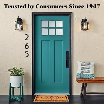 Krylon All-Purpose Spray Adhesive - Perfect for Art Projects