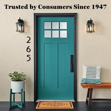 Krylon All-Purpose Spray Adhesive - Perfect for Art Projects