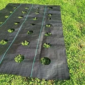 Agfabric Easy-Plant Weed Block for Raised Bed Outdoor Garden Weed Rugs Garden mat 3.0oz, 4'x6',with Planting Hole Dia 4"