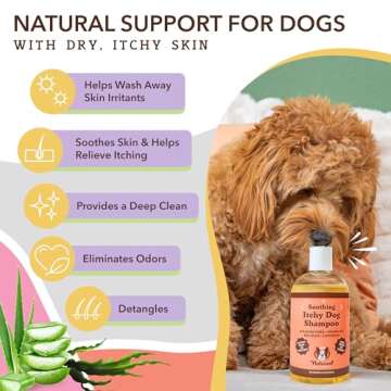 Natural Dog Company Itchy Dog Shampoo, 12 oz., Dog Dry Skin Treatment, Dog Itch Relief, Hypoallergenic, Plant Based Ingredients, Deodorizing Dog Shampoo, Relief from Skin Allergy Symptoms
