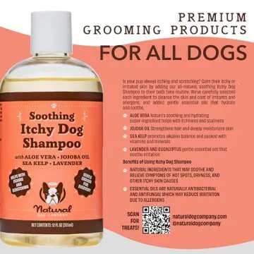 Natural Dog Company Itchy Dog Shampoo, 12 oz., Dog Dry Skin Treatment, Dog Itch Relief, Hypoallergenic, Plant Based Ingredients, Deodorizing Dog Shampoo, Relief from Skin Allergy Symptoms