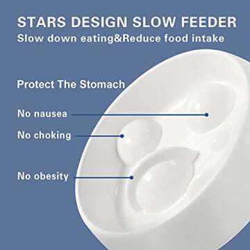 Elongated Design Slow Feeder Cat Bowl, Fun Interactive Bloat Stop Cat Feeder to Slow Down Eating, Anti Vomiting and Prevents Obesity Improves Digestion