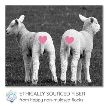 Beginner's Spinning Kit with Drop Spindle & Roving