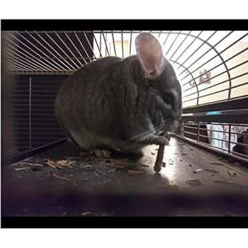 Bojafa Apple Sticks for Small Animals Chew Treats