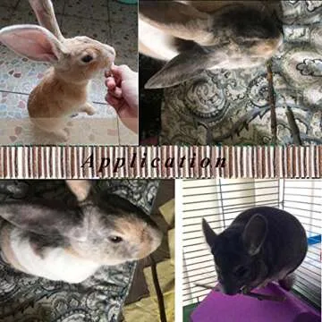 Bojafa Apple Sticks for Small Animals Chew Treats