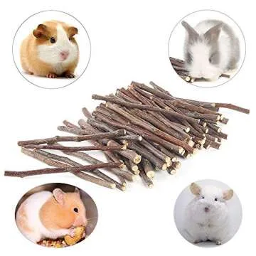 Bojafa Apple Sticks for Small Animals Chew Treats