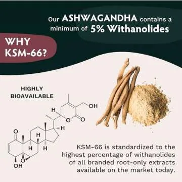 Ashwagandha KSM-66 Gummies for Adults - Pure Organic Root Extract Ayurvedic Supplement Gummy for Men & Women, Focus Mood Support Increase Energy Strength 600mg of Natural KSM66 for Superior Absorption