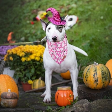 Halloween Dog Bandana Pumpkin Ghost Scarf Pink
