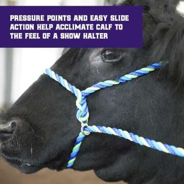 Weaver Leather Livestock Kirk Stierwalt Breaking Halter, 8 1/2', Blue