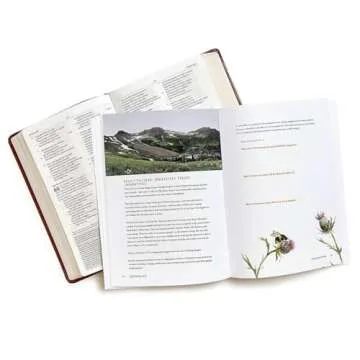 TruthFilled - Bible Study Book