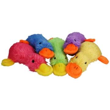 MULTIPET Duckworth Plush Filled Dog Toy, Assorted Colors, (Pack of 1)