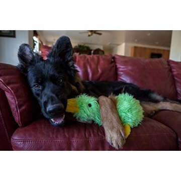 MULTIPET Duckworth Plush Filled Dog Toy, Assorted Colors, (Pack of 1)