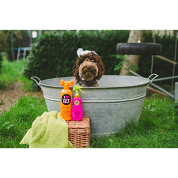 Pet Head Tearless Puppy Shampoo in Yummy Orange for Bathing