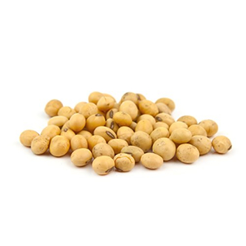 Hunza Organic Soybeans (2 lbs) - Affordable Protein Source