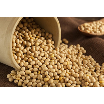 Hunza Organic Soybeans (2 lbs) - Affordable Protein Source
