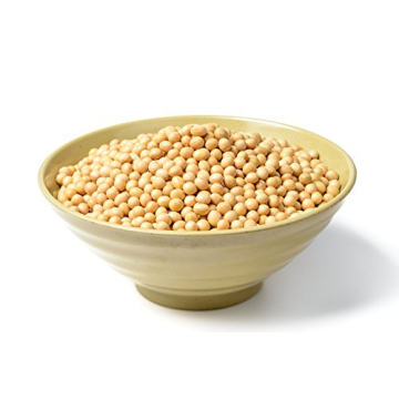 Hunza Organic Soybeans (2 lbs) - Affordable Protein Source